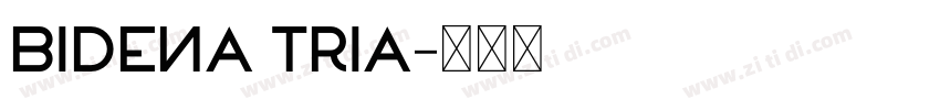 bidena tria字体转换
